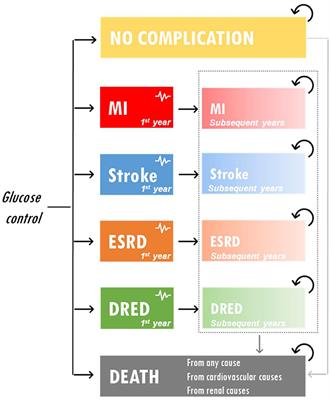 Cost-Effectiveness of Gliclazide-Based Intensive Glucose Control vs. Standard Glucose Control in Type 2 Diabetes Mellitus. An Economic Analysis of the ADVANCE Trial in Vietnam